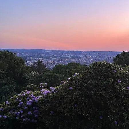 아파트 Oasis - Wohnen Im Koenigspark - Elbhang - Grosse Terrasse - Netflix - Tg *