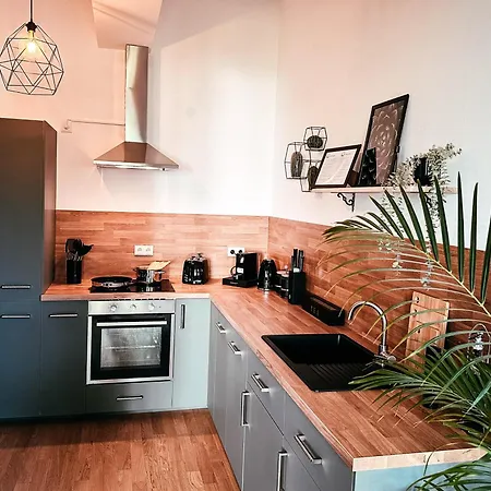 Apartamento Oasis - Wohnen Im Koenigspark - Elbhang - Grosse Terrasse - Netflix - Tg *