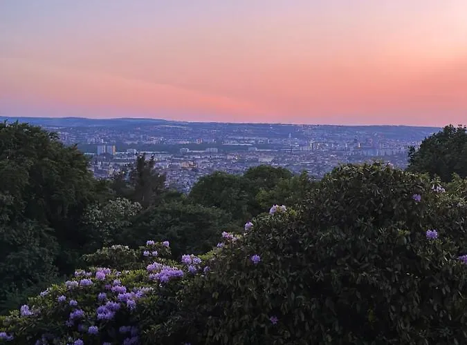 Διαμέρισμα Oasis - Wohnen Im Koenigspark - Elbhang - Grosse Terrasse - Netflix - Tg *